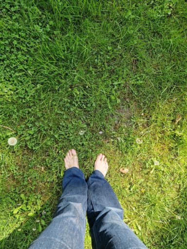 Barfüßige Füße stehen auf grünem Gras, umgeben von Natur.