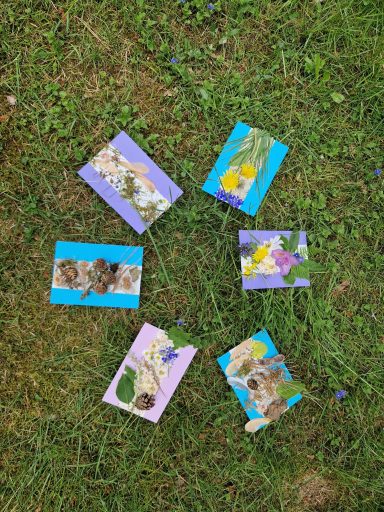 Bunte Karten mit getrockneten Pflanzen auf grünem Gras verteilt.